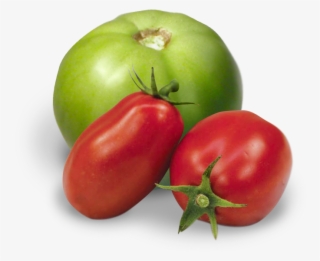 Pack Specs - Red And Green Tomato Png #9551109