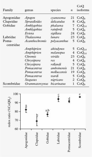 Natural Occurrence Of Coq Isoforms Among Coral Reef - Document #9551159