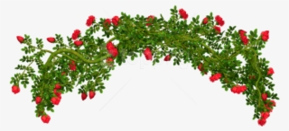 Free Png Download Rosebush Elementpicture Clipart Png - Rose Bush Png #9551929