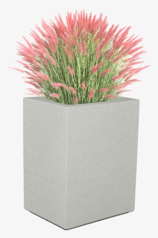 Shop Now - Flower Bush For Rendering #9554106