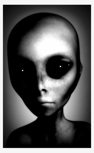 True Noir - Monochrome #9555004