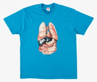 Supreme F W 18 Guts Tee #9558210