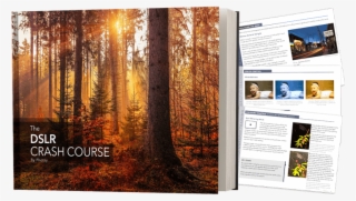 Click Add To Cart Now To Get Your Copy Of The Dslr - Autumn #9558638 Click Add To Cart Now To Get Your Copy Of The Dslr - Autumn #9558638