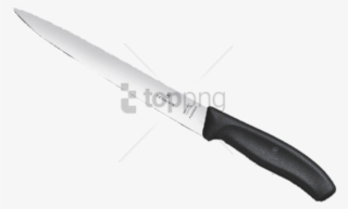 Free Png Victorinox Fillet Knife Png Image With Transparent - Cuchillo Filetero Arbolito #9558937