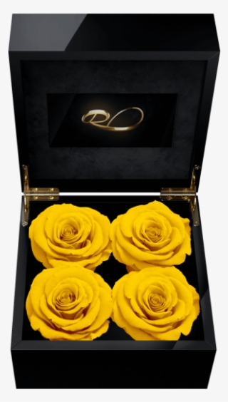 Luxury Video Flower Box Majestic Iv With 4 Preserved - Persian Buttercup #9559061