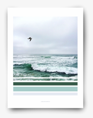 Seagull With Waves Green Graphic Photography Beach - Gull #9559522