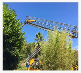 Montaggio Gru San Marco 24 Mt Vallauris - Shortleaf Black Spruce #9560207