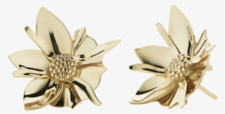 Earrings #9560334