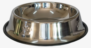 Home / Pets / Dog Bowl - Bangle #9560394
