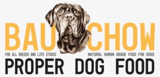 Immunity Foods For Healthy Kids #9561235