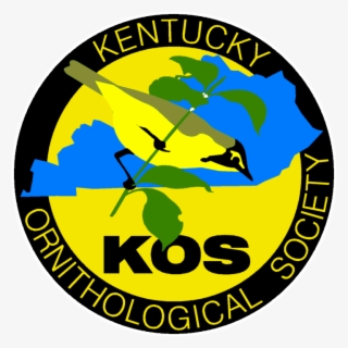 Kentucky Warbler - Circle #9561765