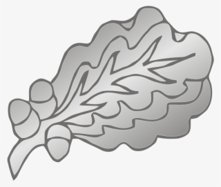 282 × 240 Pixels - Military Oak Leaf Cluster #9562378