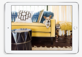 Exploring Design, Architecture & The Way We Live - Shetland Sheepdog #9564510