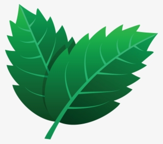 725 Leaves Icon - Kartun Daun Hijau #9565335