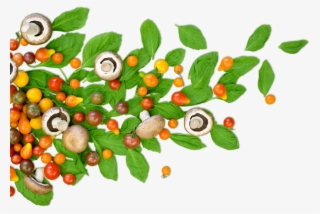 1243 X 834 18 - Health Food Png Clipart #9565505