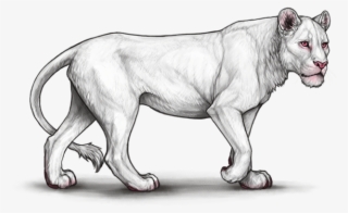 Vhpwvvw - Lioden Neutral Lioness #9565609