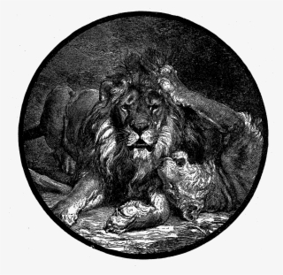 Digital Lion Illustration - Circle #9565716