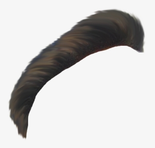 Download Here - Turkey #9566343