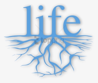 Free Png Love My Life I Am Beautiful Png Image With - Ludwig Maximilian University Of Munich #9567001