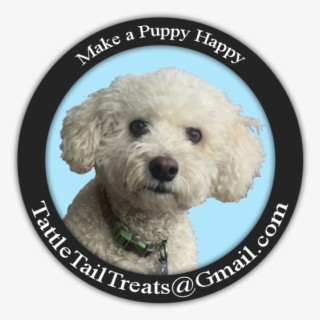 Products We Drool Over - Toy Poodle #9568963