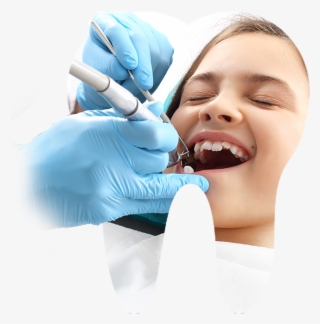 Visit Your Dentist Every Six Months To Ensure Early - Dentistry #9570574