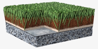10 Jan Natural Greensport No Backings Short Gravel - Artificial Turf #9570675 10 Jan Natural Greensport No Backings Short Gravel - Artificial Turf #9570675