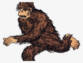 Sasquatch Clipart Transparent - Tintin Yeti #9570963
