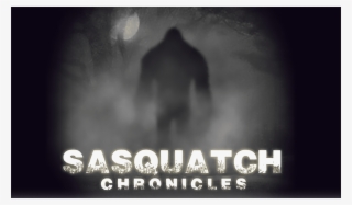 Sasquatch Slide » Sasquatch Slide - Darkness #9571009