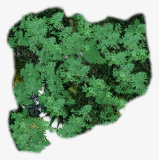 Junglepatch1 - Jungle Tiles #9572619