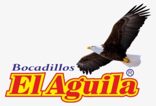 Logo Bocadillos El Aguila1000 - Bald Eagle #9573101