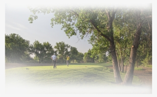 Golfers Walking On Green - Tree #9573659