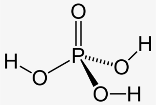 File - Phosphoric-ac#2d - Sodium Hypochlorite Structural Formula #9574289