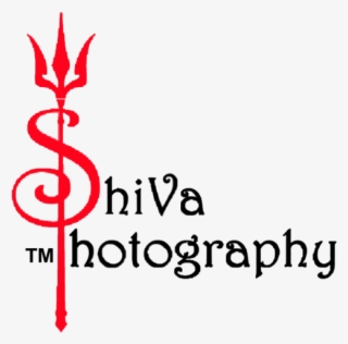 Tree#png - Shiv Photography Logo Png #9577092
