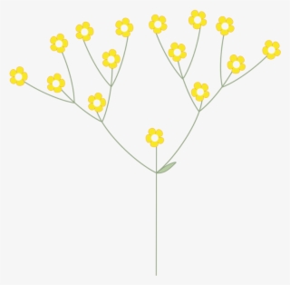 Dichasium, Bougainvillea Dichasium - Illustration #9577552