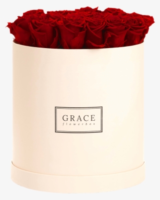 Garden Roses #9578658