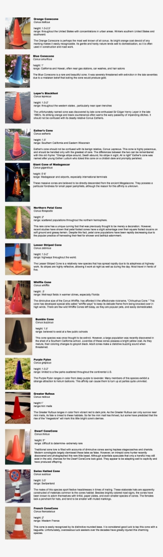 Traffic Cone Preservation Society - Triangle #9579680