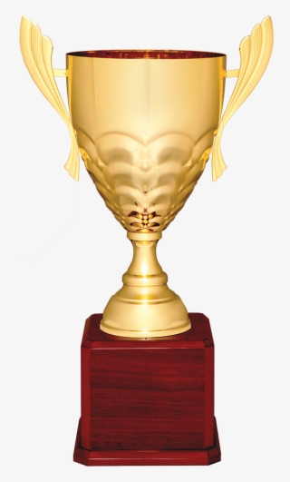 Cmcg - Trophy #9580415