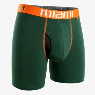 6in Boxer Brief - Underpants #9582334