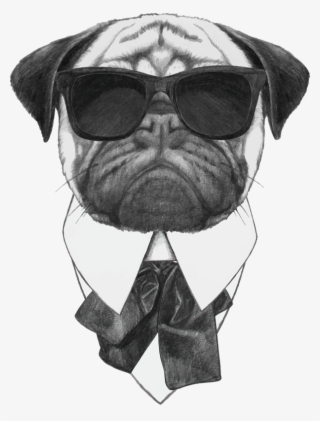 Sunglasses Photography Pug Dog Illustration Stock Cool - Pug Art #9582375
