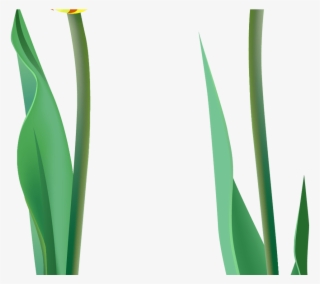 Spring Tulips Png Clipart Gallery Yopriceville High - Grass #9583270