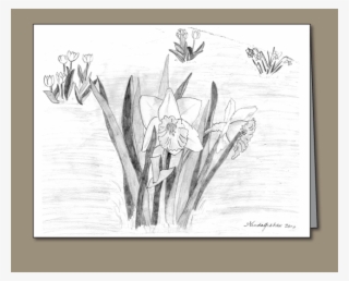 Sketch #9583545