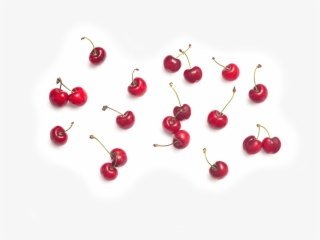 Dark Chocolate Cherry Cashew Antioxidants Bars - Gemstone #9583551