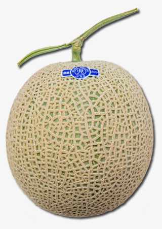 Australia Rock Melon - Honeydew #9586876