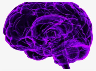 Mindfulness Meditation Made Simple - Purple Brain Transparent #9588058