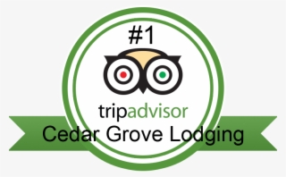 Tripadvisor1 - Circle #9588101