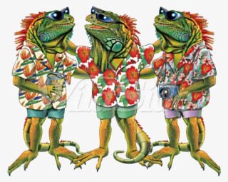 3 Iguanas - Iguana #9588449