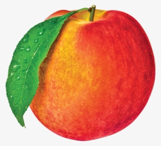 Juicy Peach Tart - Juicy Peach #9590509