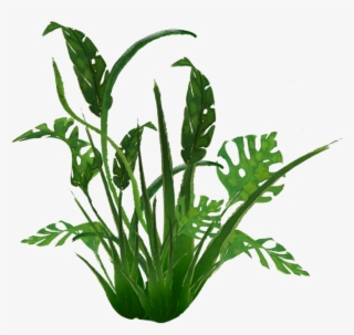 938 Jungle Plants 01 By Tigers Stock A - Transparent Jungle Plants #9592062