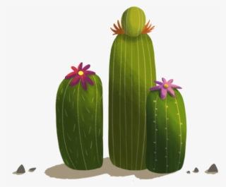 Anna Laera - Hedgehog Cactus #9592205