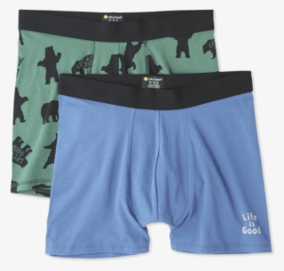 Classic Boxer Brief - Underpants #9592707